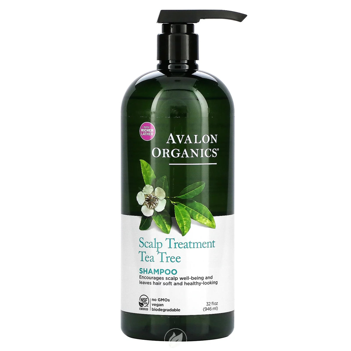 Teatree Shampoo 32oz S49801
