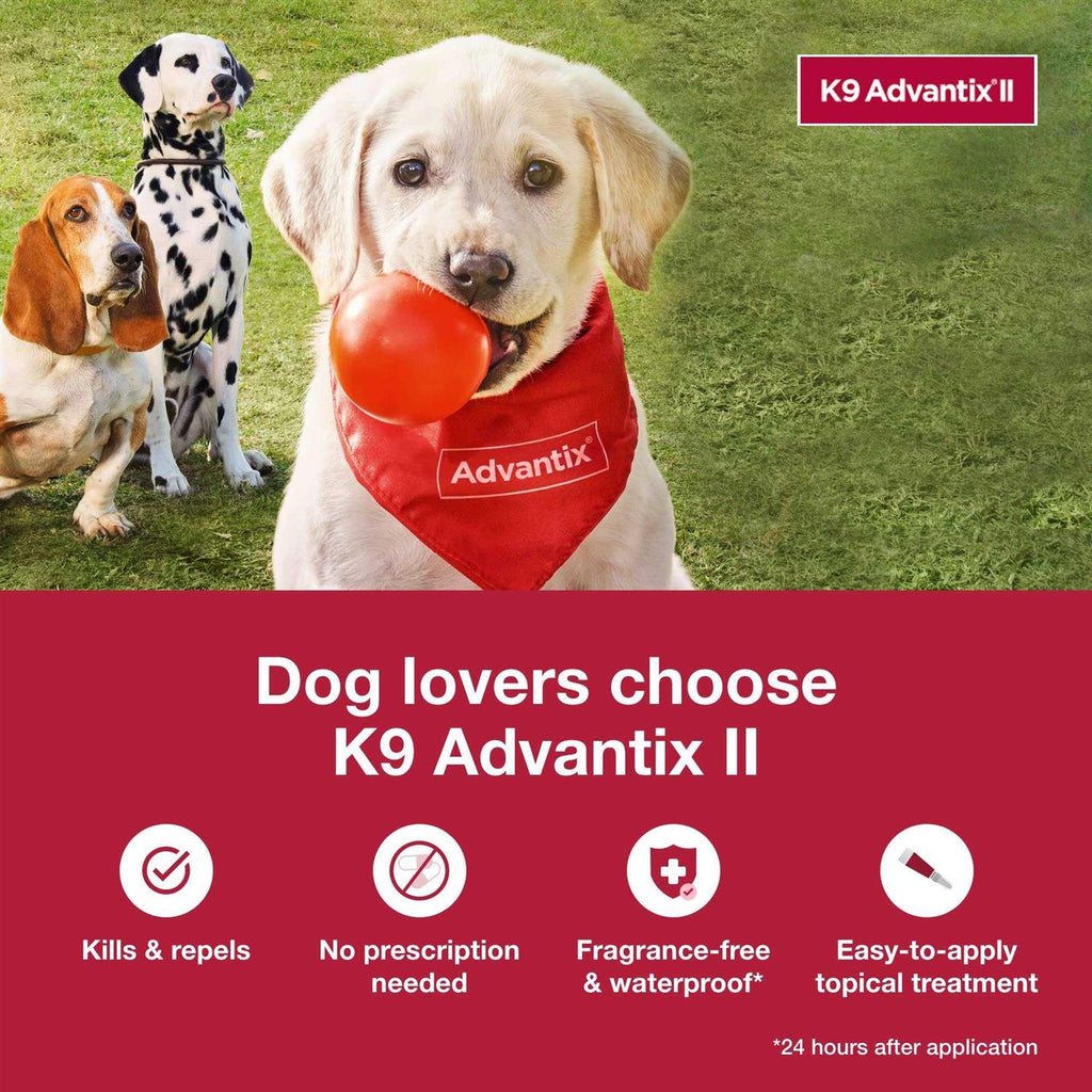 Extra Large Dogs Pet Supplies F44888