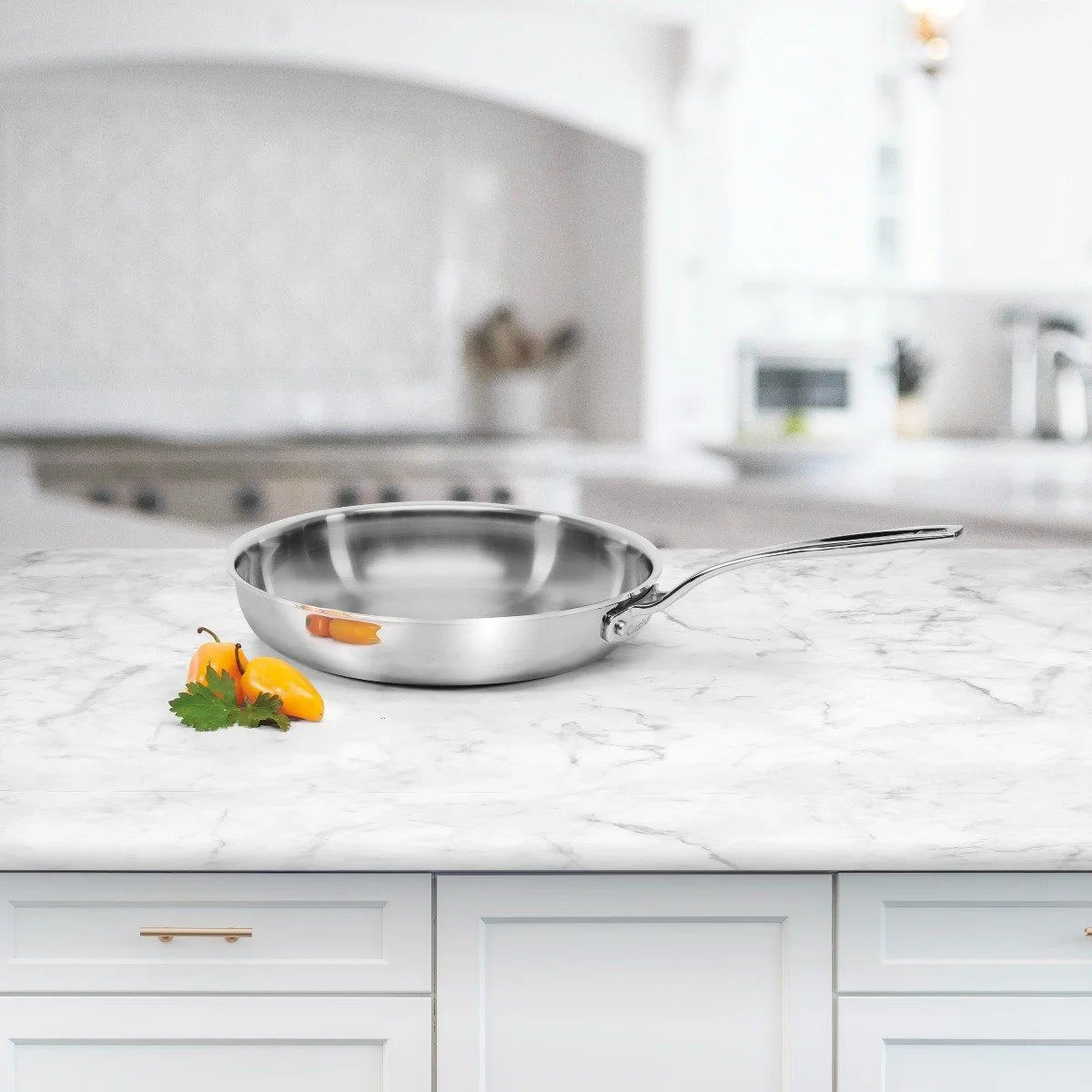 5-Ply Stainless Steel Fry Pan N8066