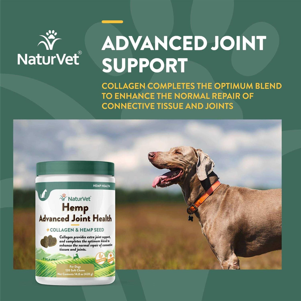 Hemp Advanced Joint Health Pet Supplies Z3432