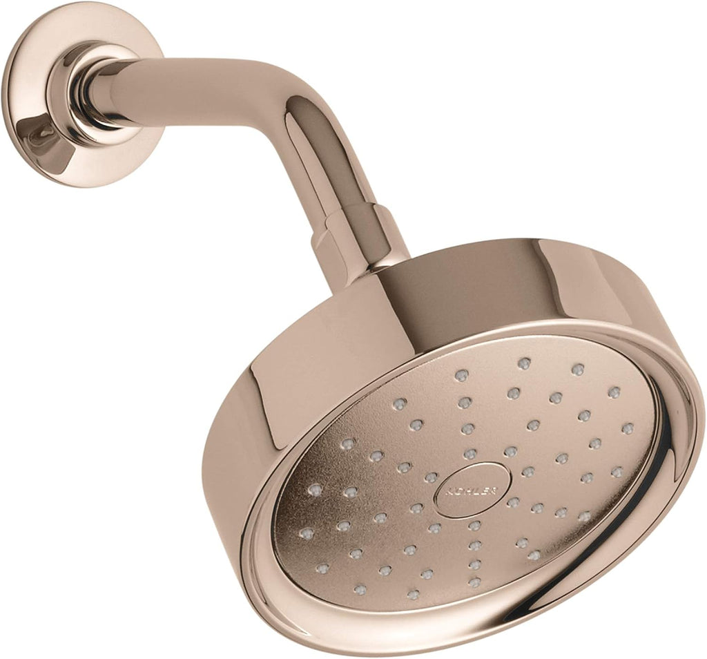 Vibrant Titanium Showerhead G547182