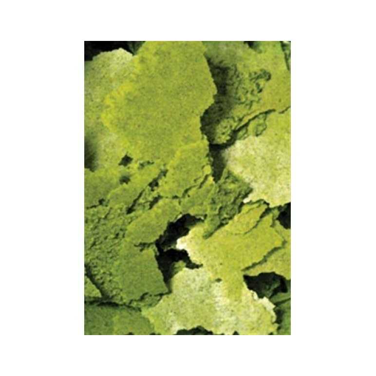 Flakes N147039