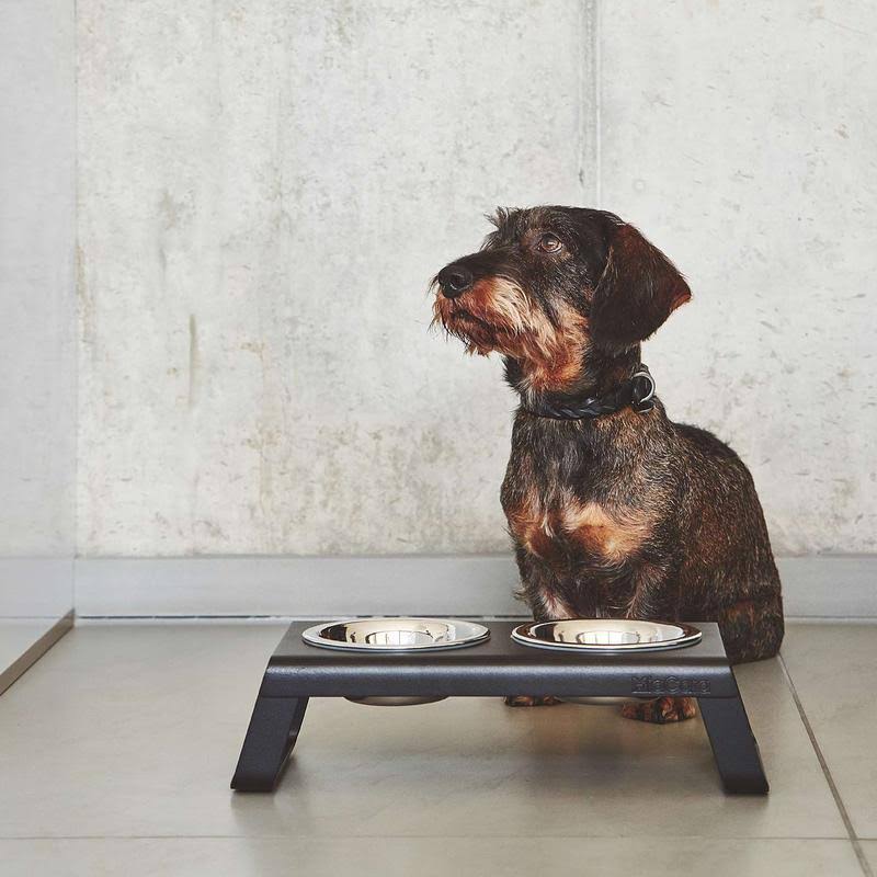 Brown Dog Collar L965237