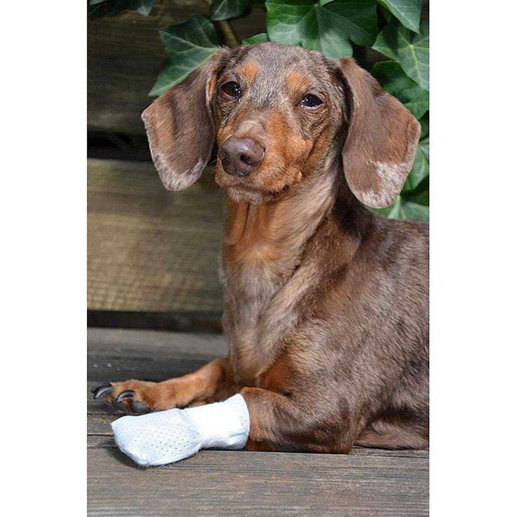 Dog Cat Paw Bandages A969