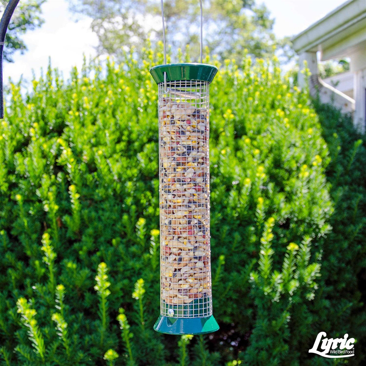 Fruit & Nut Wild Bird Mix C449996